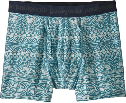 Patagonia Men's Essential Boxer Briefs - 3 in.