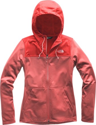 north face tech mezzaluna hoodie