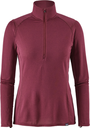 patagonia capilene thermal weight zip hoodie