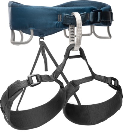 Momentum 3S Harness