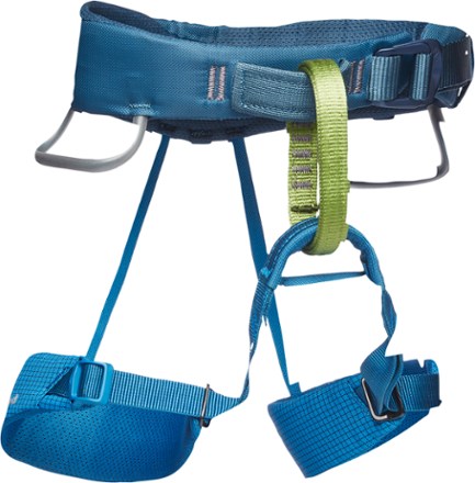 Edelrid Fraggle Full-Body Climbing Harness - Kids' | REI Co-op