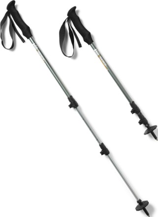 Rei trekking pole on sale
