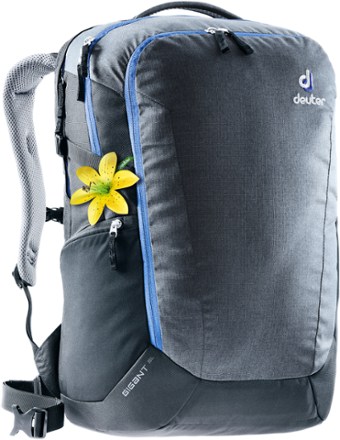 rei deuter backpack