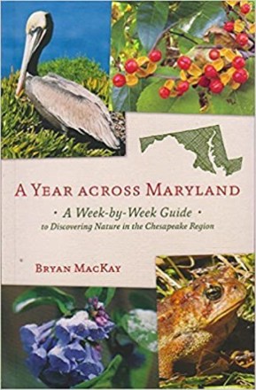 A Year across Maryland