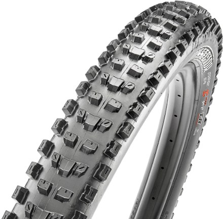 Bontrager XR4 Team Issue TLR Tire | REI Co-op