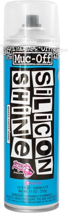 Silicon Shine