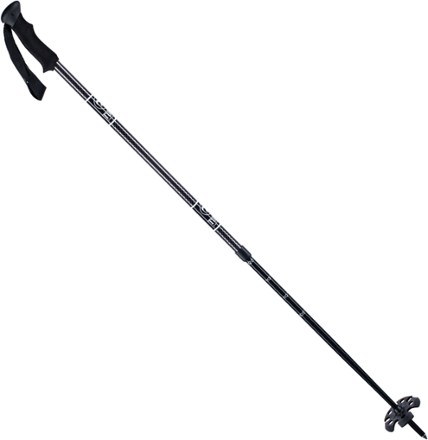 Trail Walking 2-Piece Poles