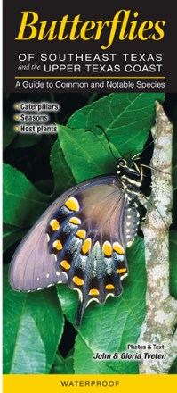 Butterflies of Southeast Texas and the Upper Texas Coast