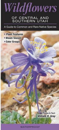 Wildflowers of Central and Southern Utah