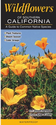 Wildflowers of Southern California