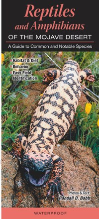 Reptiles and Amphibians of the Mojave Desert