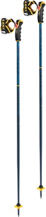 Spitfire 3D Ski Poles