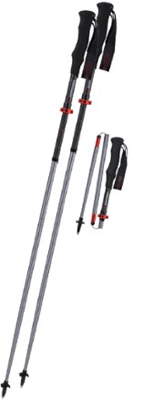 rei summit trekking pole