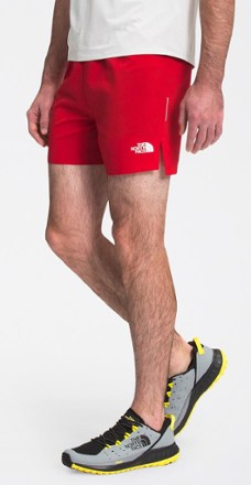the north face mens shorts sale