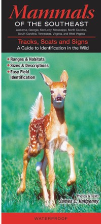 Mammals of the Southeast