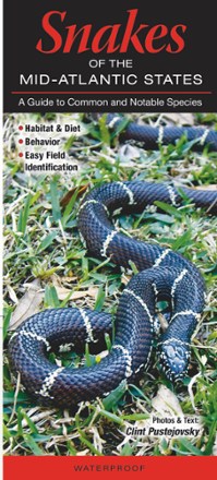 Snakes of the Mid-Atlantic States