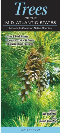 Trees of the Mid-Atlantic States