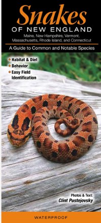 Snakes of New England