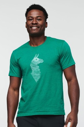 Topo Llama T-Shirt - Men's