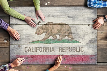 California Bear Puzzle - 1,000 Piece