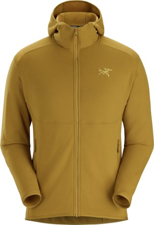 Arc'teryx Kyanite AR Hoodie - Men's | REI Co-op