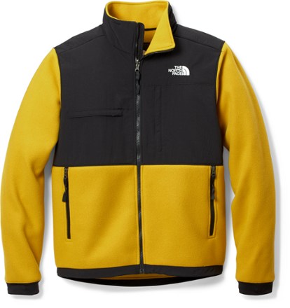 The North Face Denali 2 Fleece Jacket - Men's | REI Co-op