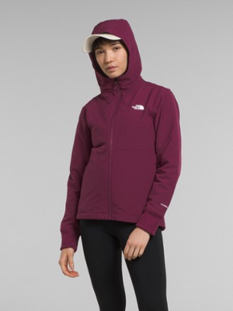 The North Face Shelbe Raschel Hoodie - Women's 0