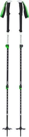 Expedition 3 Ski Poles