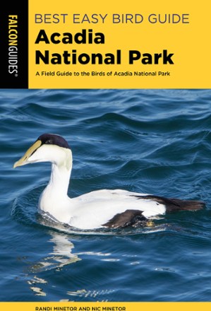 Best Easy Bird Guide Acadia National Park