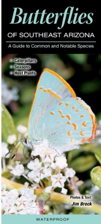 Butterflies of Southeast Arizona