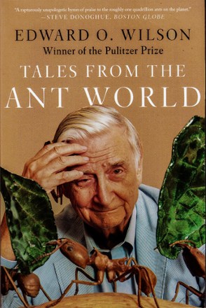 Tales from the Ant World