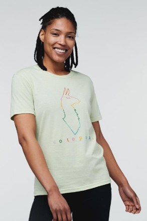 Electric Llama T-Shirt - Women's