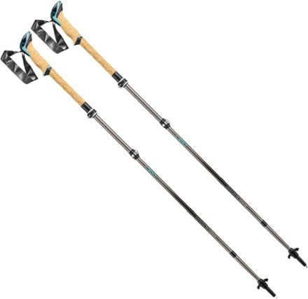 Leki Makalu FX Carbon Trekking Poles - Pair | REI Co-op