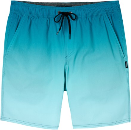 Stockton Print E-Waist Hybrid Shorts - Boys'