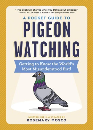 A Pocket Guide to Pigeon Watching