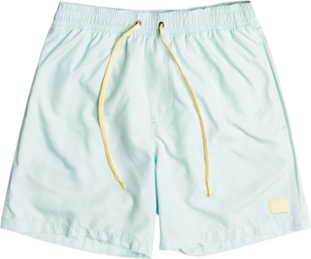 Everyday 15" Volley Swimsuit Shorts - Boys'