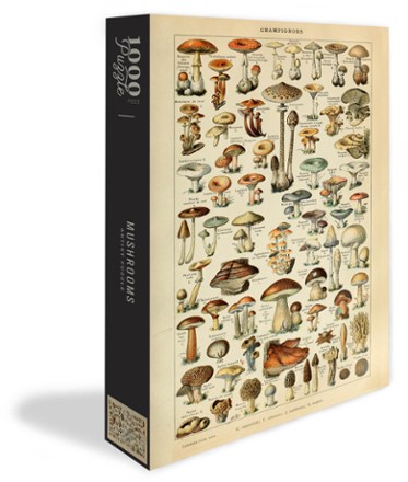 Mushrooms Artist Puzzle - 1,000 Piece