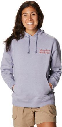 Desertscape Pullover Hoodie - Women's