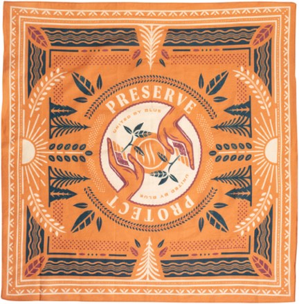 Preserve and Protect Bandana