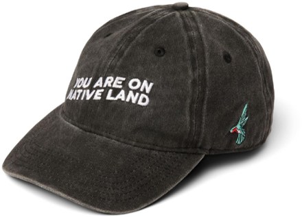 You Are On Native Land Everyday Cap