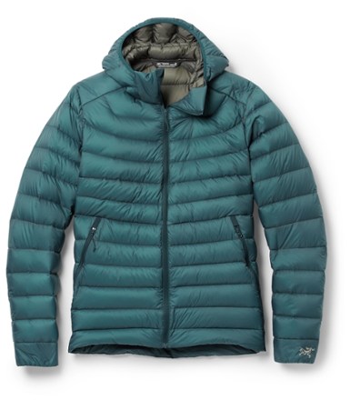 Patagonia Women's Down Sweater Hooded Jacket