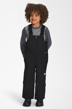 The North Face Freedom Insulated