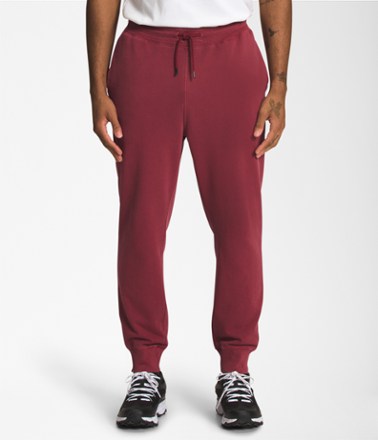 The North Face Garment Dye Jogger Pants - Men's | REI Co-op