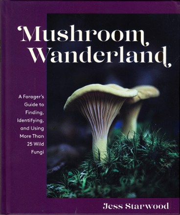 Mushroom Wanderland