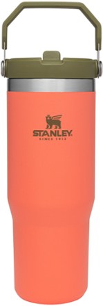 Stanley Insulated IceFlow Flip Straw Water Bottle 22oz - Matte