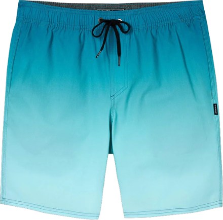 O'Neill Stockton Print E-Waist Hybrid Shorts - Men's 0