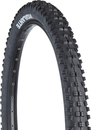 Notre Pneu VTT WTB Trail Boss Tritec - Tubeless Ready - 27.5x2.4 est