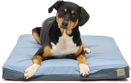 Burley Pet Bed, Standard - Scheller's Fitness & Cycling Louisville,  Lexington, Clarksville