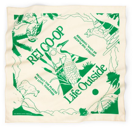 REI Co-op Graphic Bandana