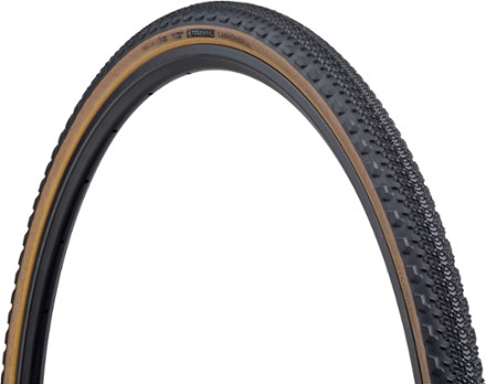 Teravail Cannonball Light & Supple Tire | REI Co-op